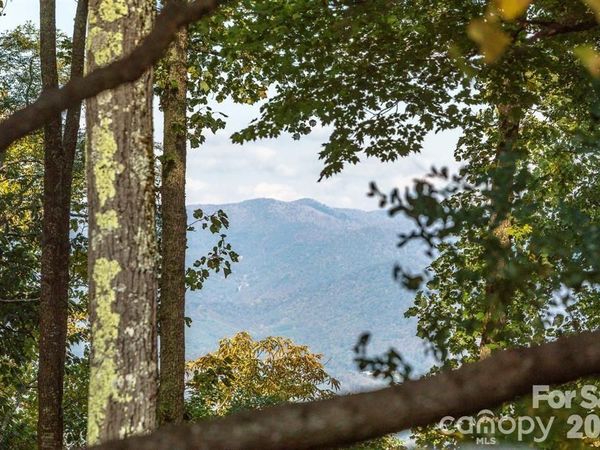 Lot 2 Ball Hooter Road, Burnsville, NC 28714