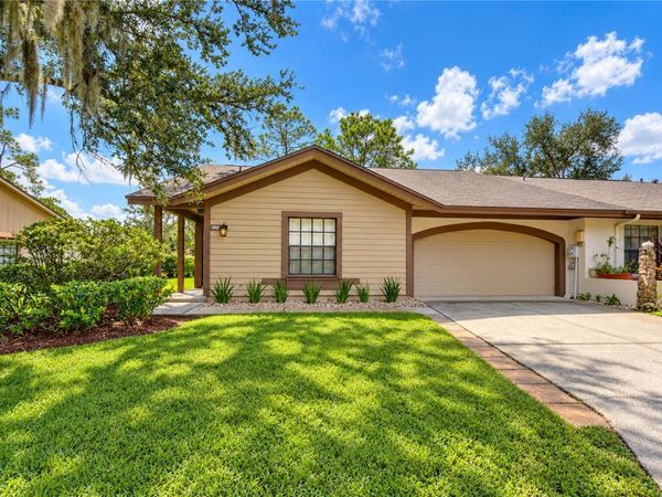 3942 SHORESIDE CIRCLE , TAMPA, FL 33624