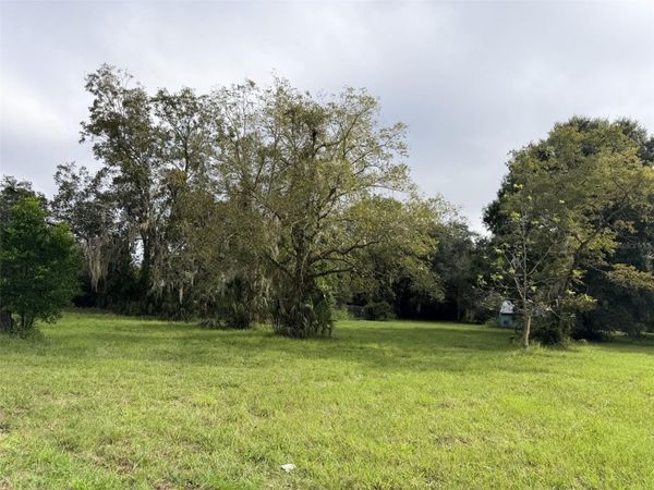6690 NW 100TH STREET , CHIEFLAND, FL 32626