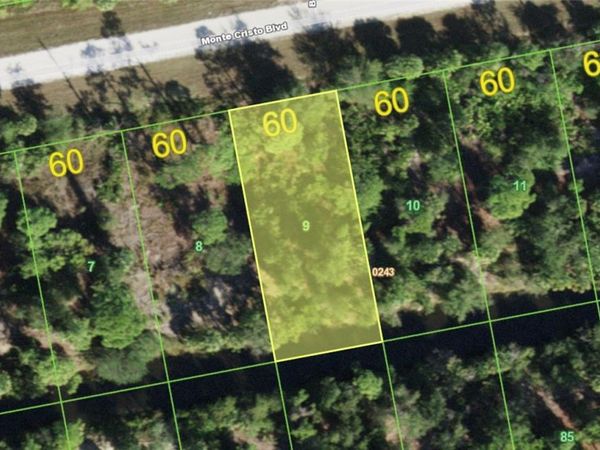 27357 MONTE CRISTO BOULEVARD , PUNTA GORDA, FL 33955