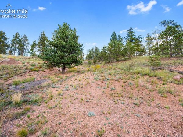 28 Pinnacle Circle, Florissant, CO 80816