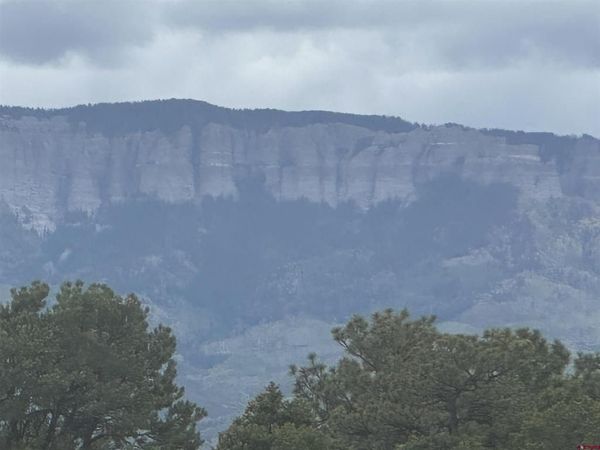 140 W Cedar Lane, Ridgway, CO 81432