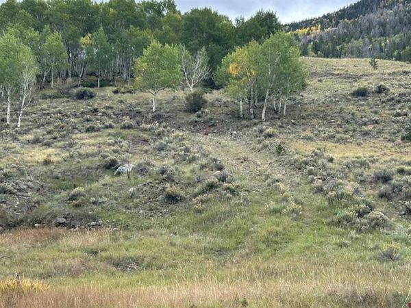 TBD MAIN STREET, Bonanza, CO 81155