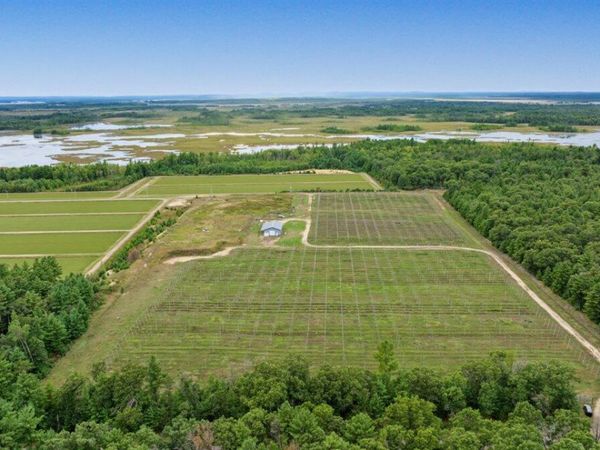 N4085 Cranberry Rd, Bear Bluff, WI 54666
