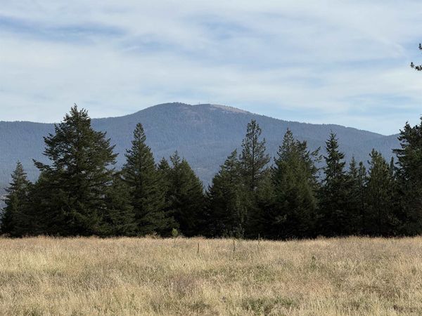 25XXX N Orchard Bluff Rd, Chattaroy, WA 99003