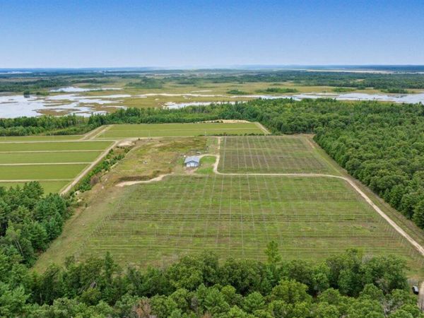4085 N CRANBERRY ROAD, Warrens, WI 54666