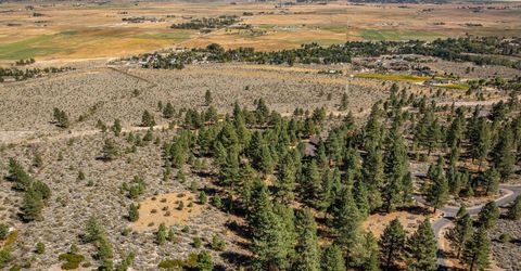 900 Stutler Creek Court, Gardnerville, NV 89460 Photo
