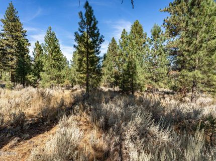 900 Stutler Creek Court, Gardnerville, NV 89460 Photo