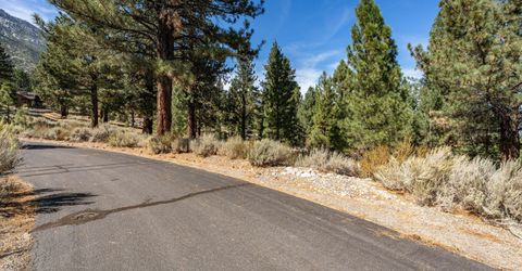 900 Stutler Creek Court, Gardnerville, NV 89460 Photo