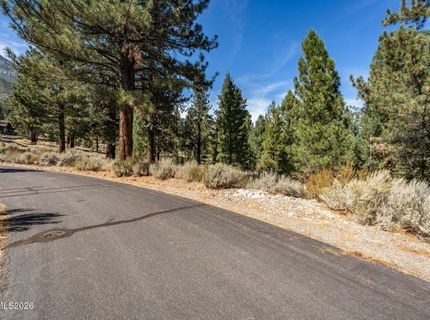 900 Stutler Creek Court, Gardnerville, NV 89460 Photo