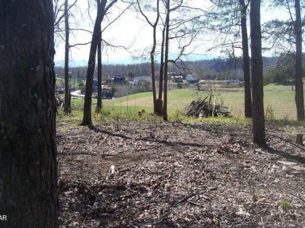 4 Flat Creek Rd, Unit 4, Sevierville, TN 37876