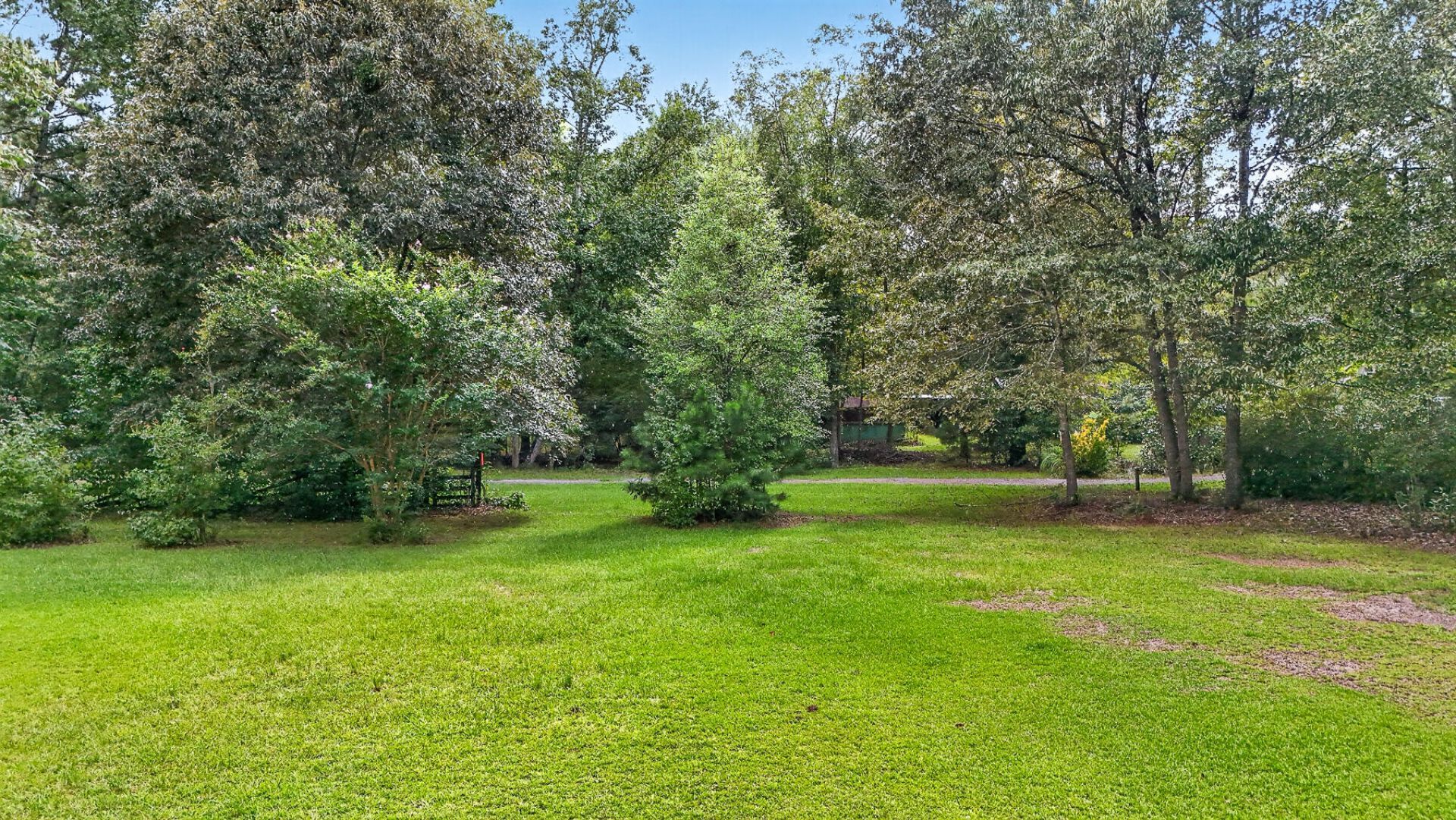 111 George Lane Photo 14
