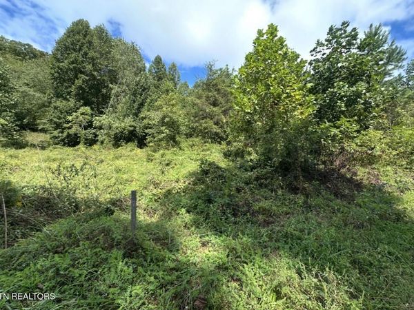 TBD Hubbard Springs Rd, Jonesville, VA 24263