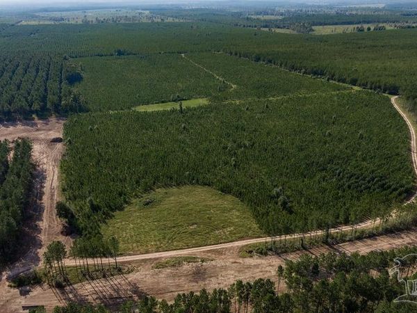 Lot 90 Posie Forest Rd, Milton, FL 32570