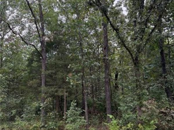 2128 Lone Wolf Drive, Cuba, MO 65453