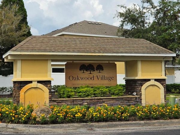 20435 NEEDLETREE DRIVE , TAMPA, FL 33647