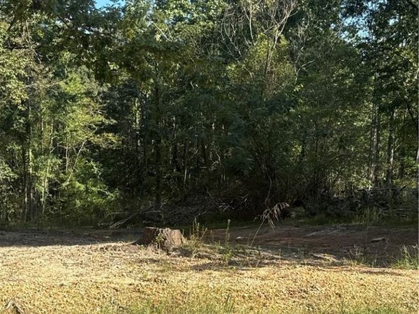 5237 Eastern Ridge circle, Cottondale, AL 35453