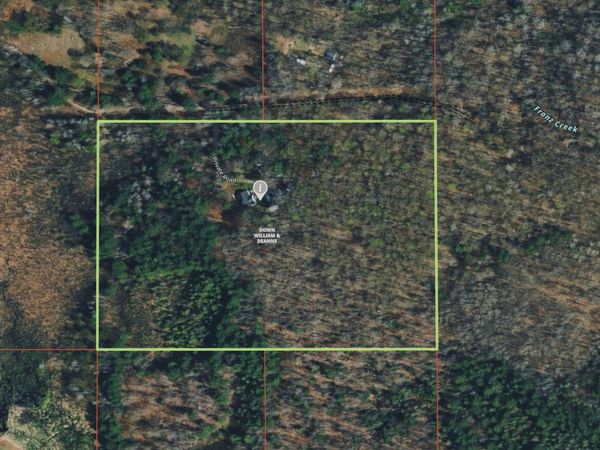11781 Downs Drive, Leroy, MI 49655