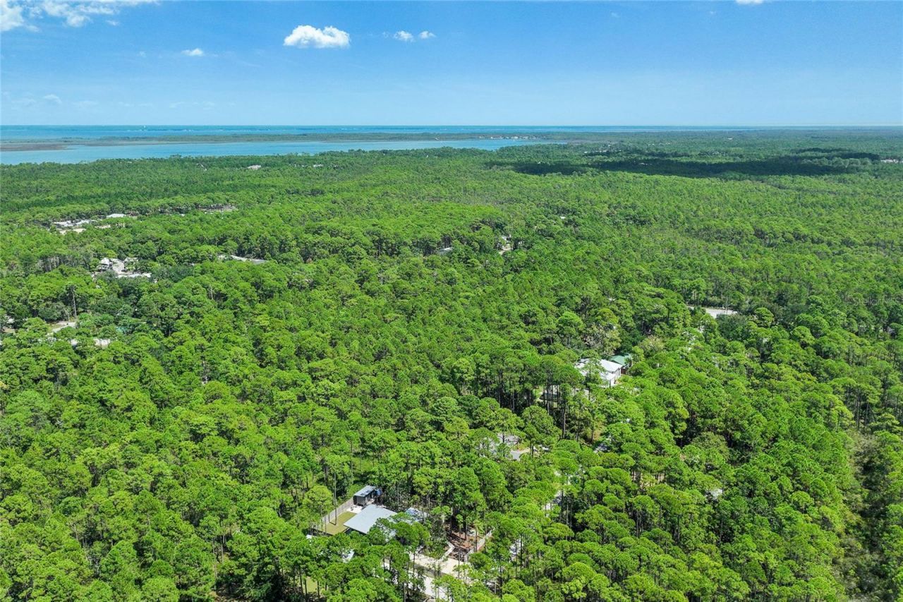 168 Long Leaf Circle, Santa Rosa Beach, FL 32459 Photo