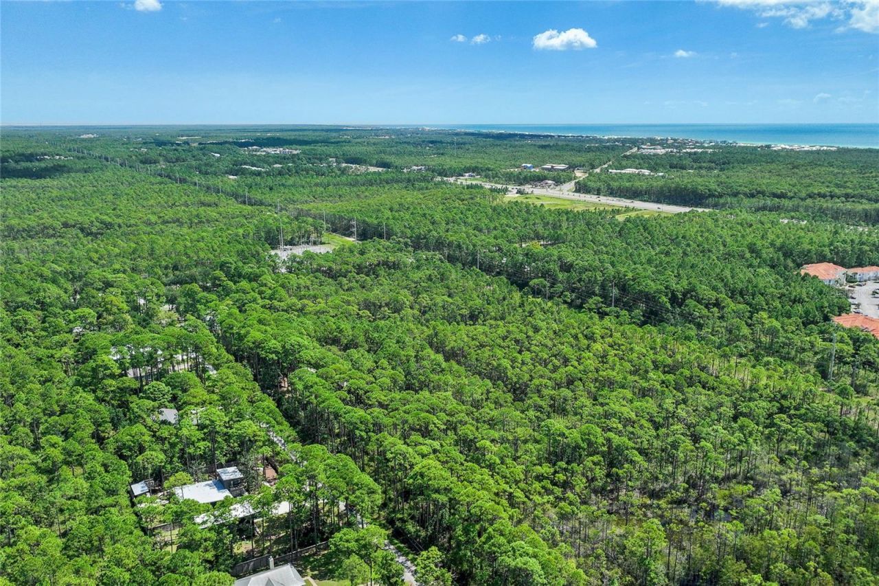 168 Long Leaf Circle, Santa Rosa Beach, FL 32459 Photo