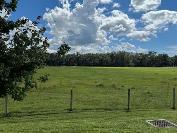5421 COMPANION LANE , TAMPA, FL 33619