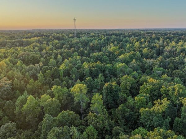 Forrest City, AR 72335