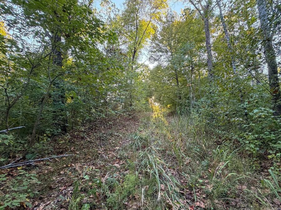 Property Image 31