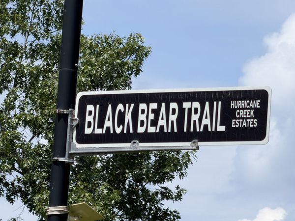 0 Black Bear Trail , Unit 72, Linden, TN 37096