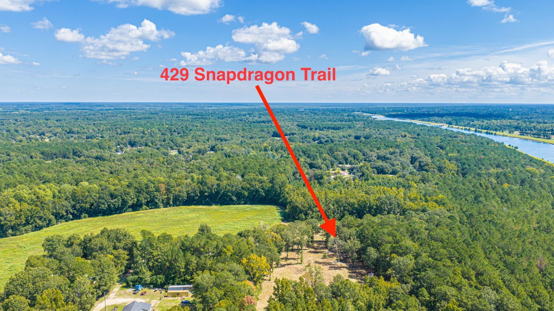 429 Snapdragon Trail Photo 28