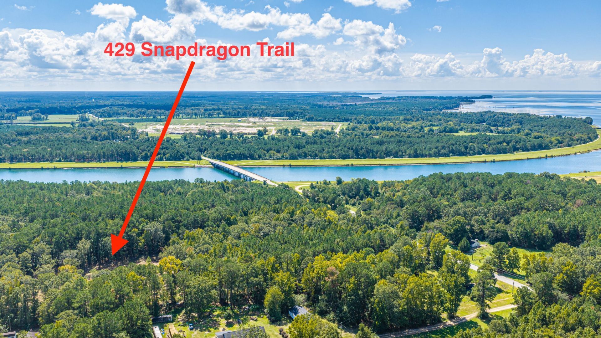 429 Snapdragon Trail Photo 43