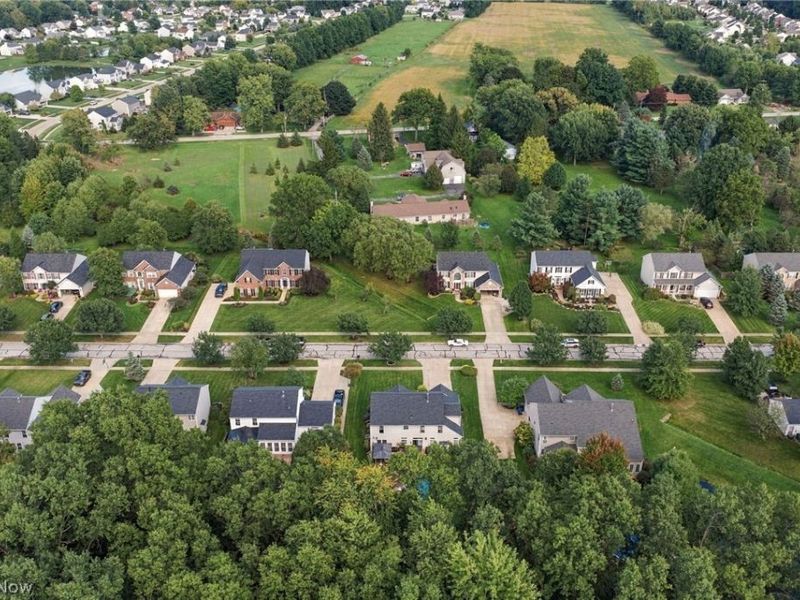9192 Stonebriar Lane, North Ridgeville, OH 44039 Photo 47