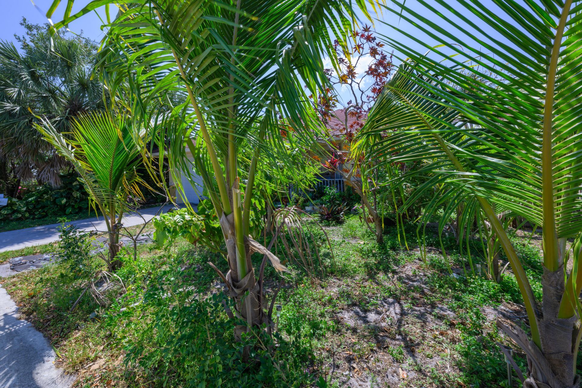 631 S A Street, Unit 631, Lake Worth Beach, FL 33460 Photo