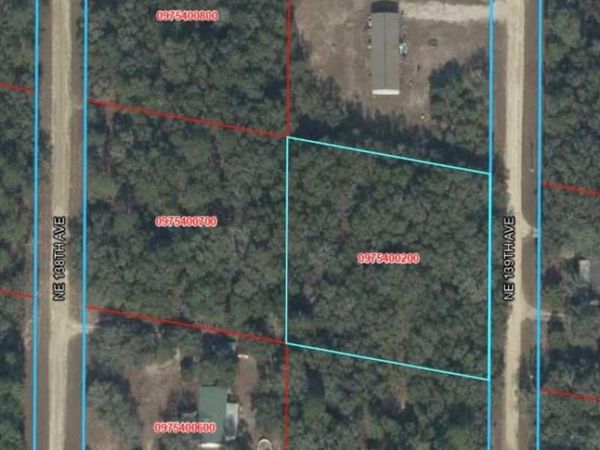 NE 139TH STREET , WILLISTON, FL 32696