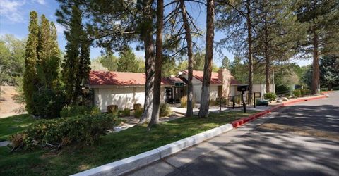 1291 Rayburn Drive, Reno, NV 89503 Photo