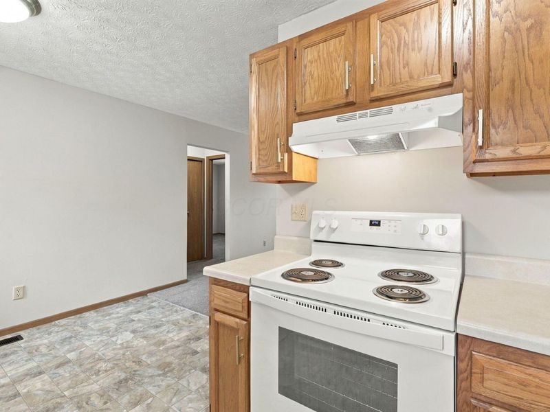 8847 Hornsea Drive, Powell, OH 43065 Photo 10