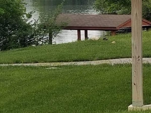 6 W Mohican Cove, Franklin Twp, OH 45171