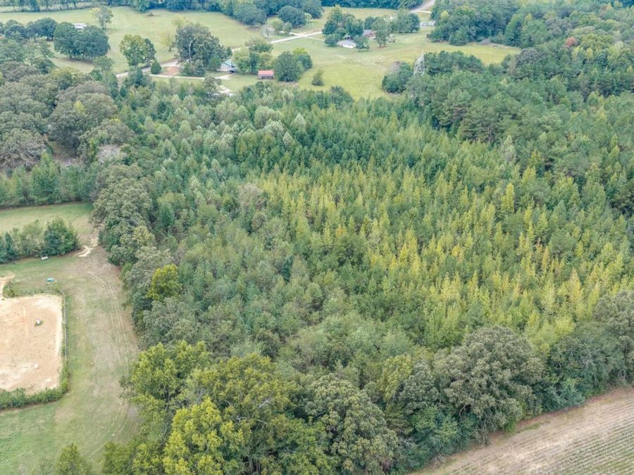 Property Image 23