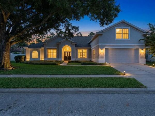 9041 LAUREL RIDGE DRIVE , MOUNT DORA, FL 32757