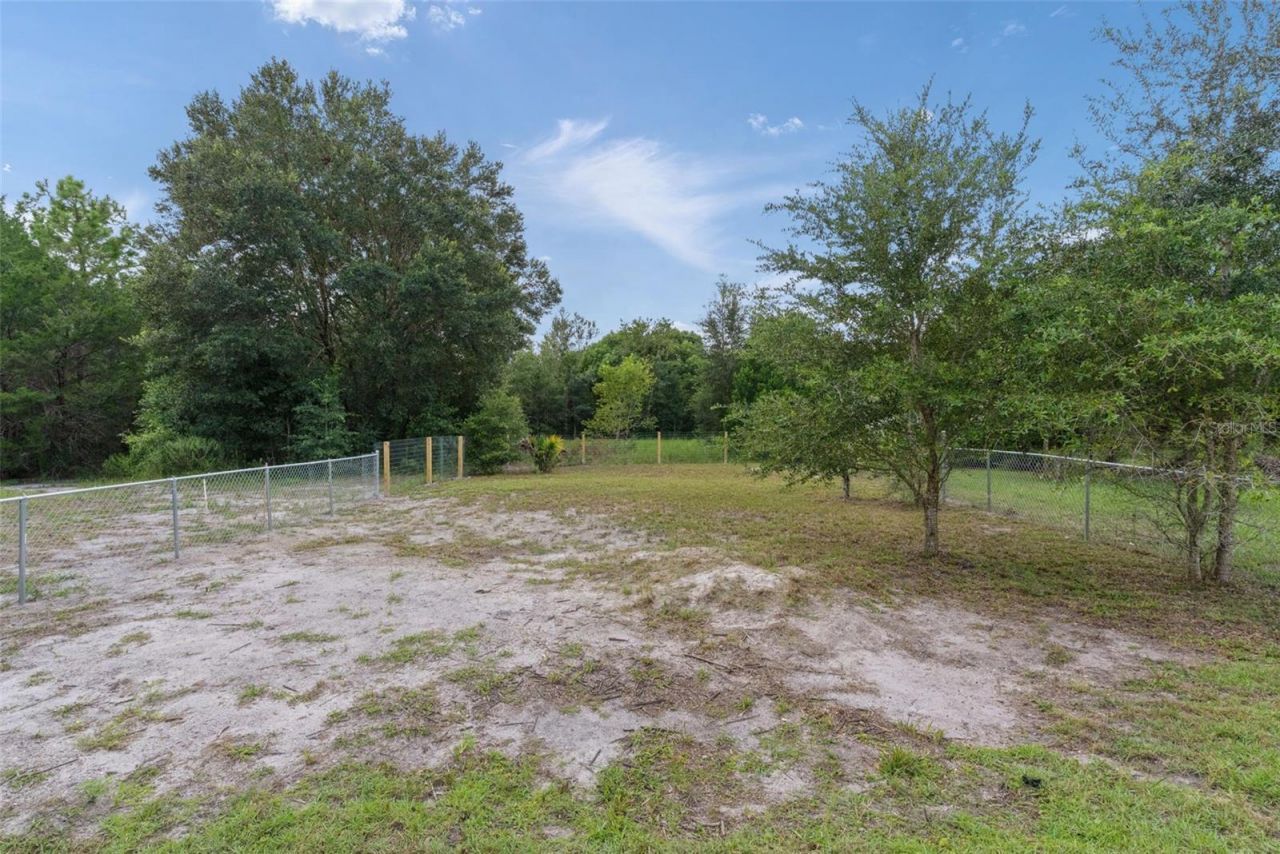 31128 Lochmore Circle, Mount Plymouth, FL 32776 Photo
