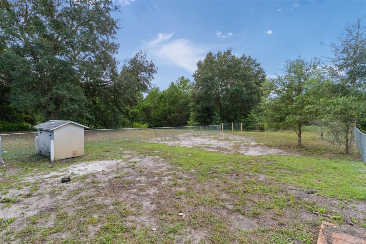 31128 Lochmore Circle, Mount Plymouth, FL 32776 Photo