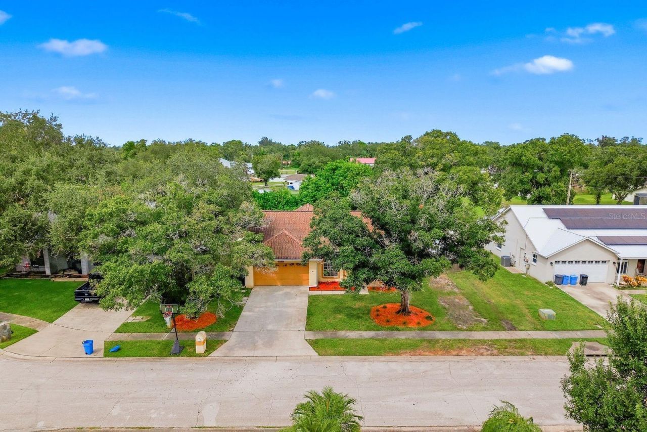 5955 107th Terrace N, Pinellas Park, FL 33782 Photo