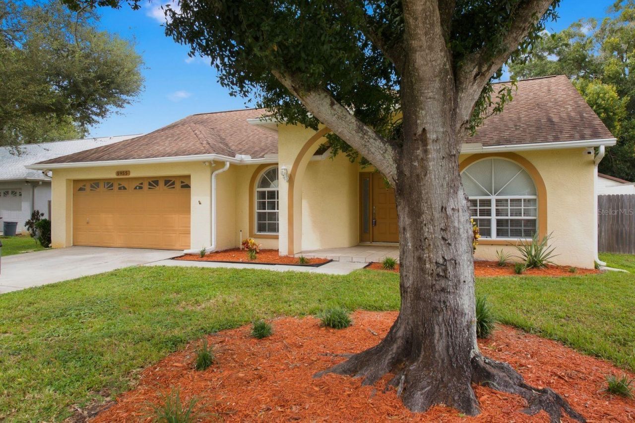 5955 107th Terrace N, Pinellas Park, FL 33782 Photo