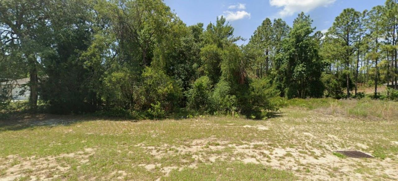 Tbd SW 135 Street , Ocala, FL 34473 Main Photo