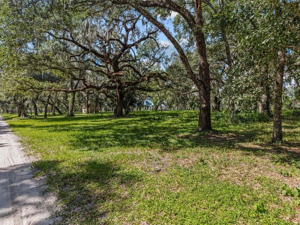 17445 PALMER LANE , SPRING HILL, FL 34610