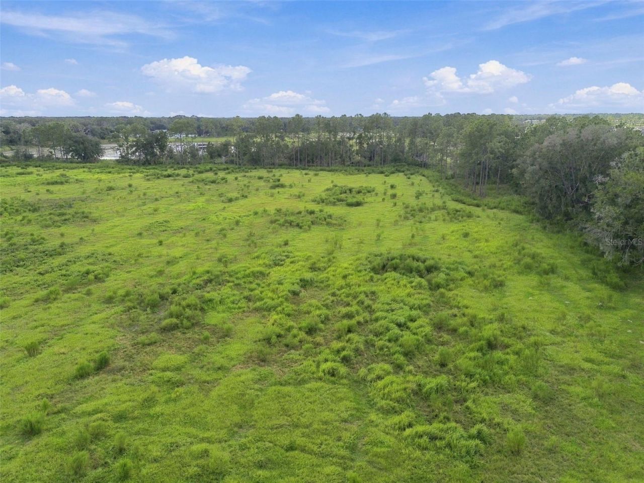 8989 Ehren Cutoff, Land O Lakes, FL 34639 Photo