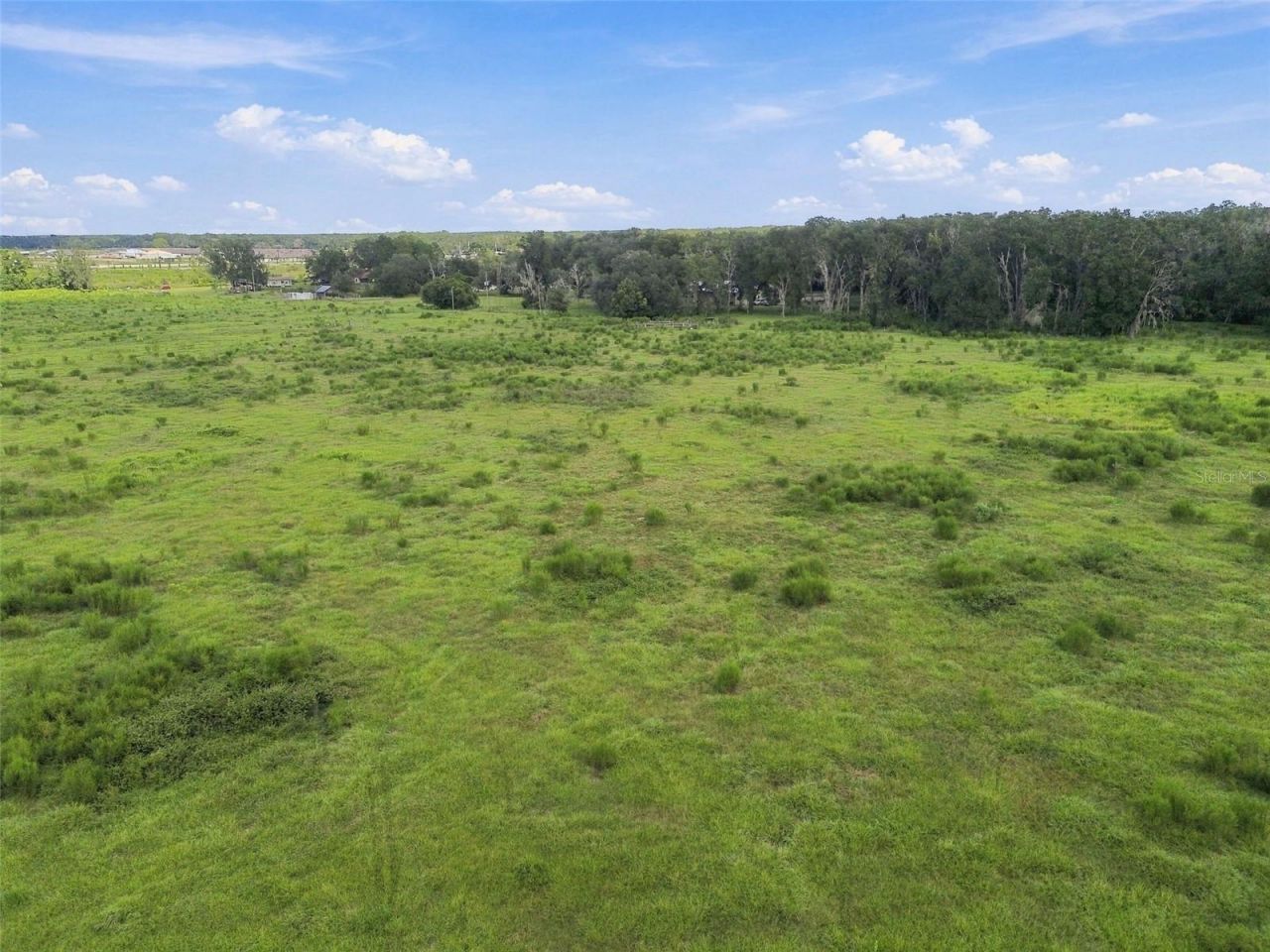 8989 Ehren Cutoff, Land O Lakes, FL 34639 Photo
