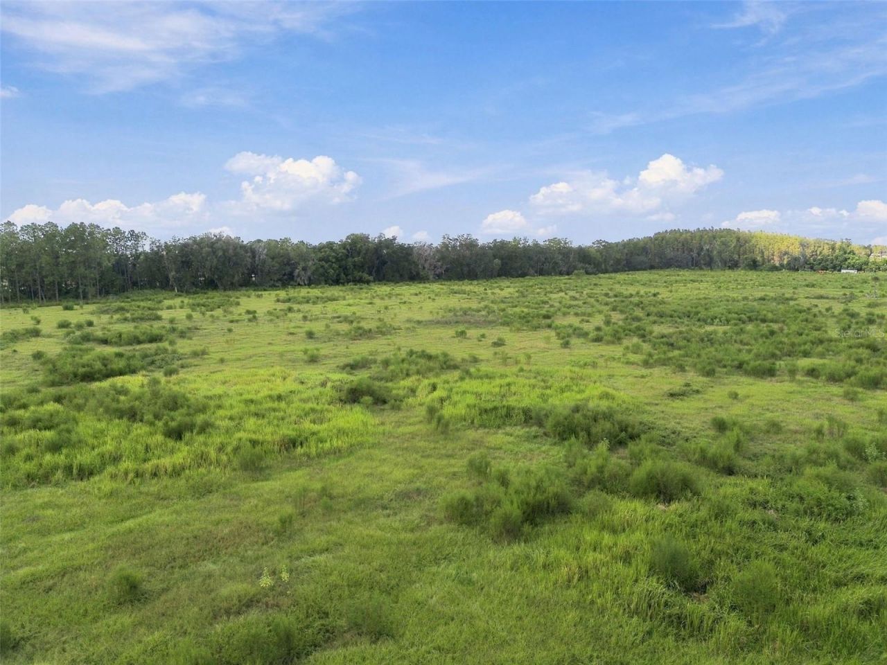 8989 Ehren Cutoff, Land O Lakes, FL 34639 Photo