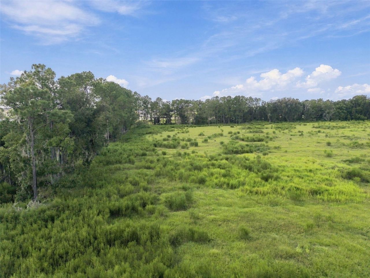 8989 Ehren Cutoff, Land O Lakes, FL 34639 Photo