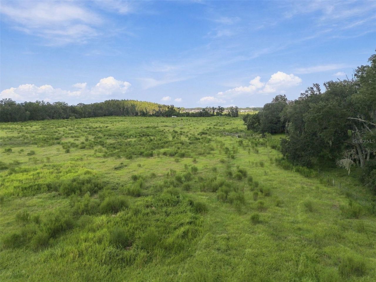 8989 Ehren Cutoff, Land O Lakes, FL 34639 Photo