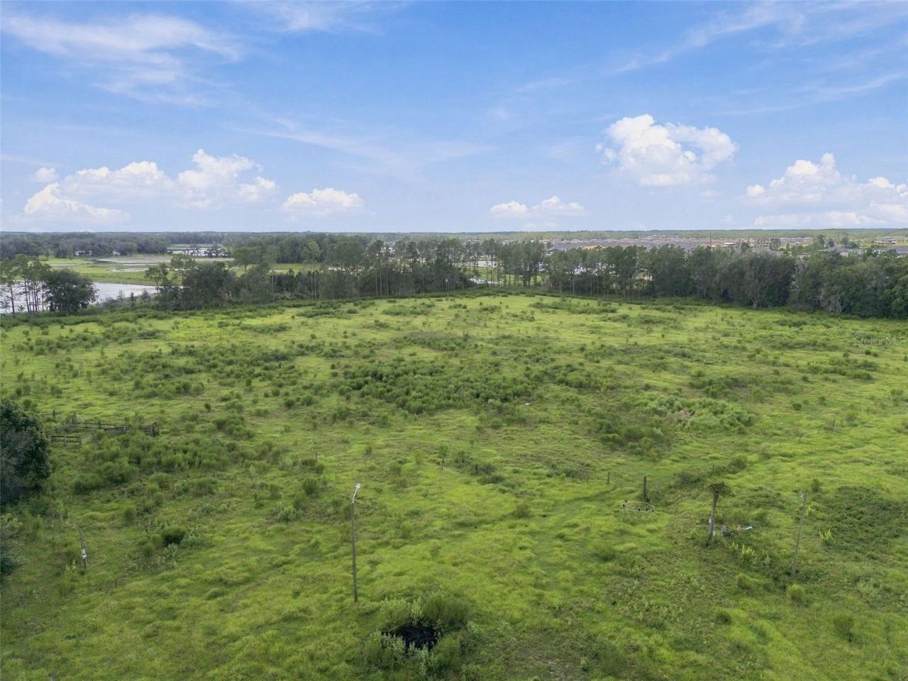 8989 Ehren Cutoff, Land O Lakes, FL 34639 Photo